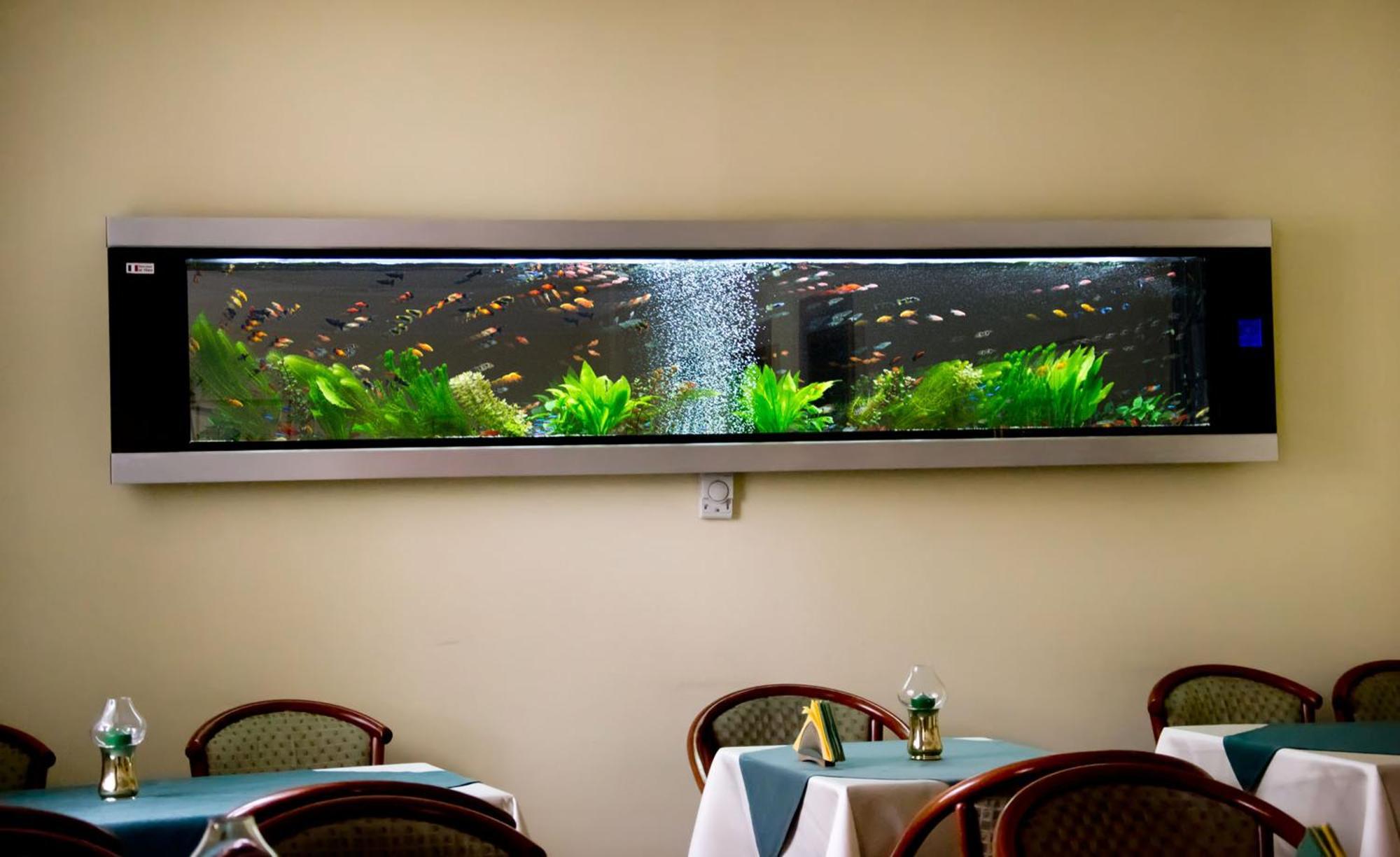 Hotel Брашов Экстерьер фото